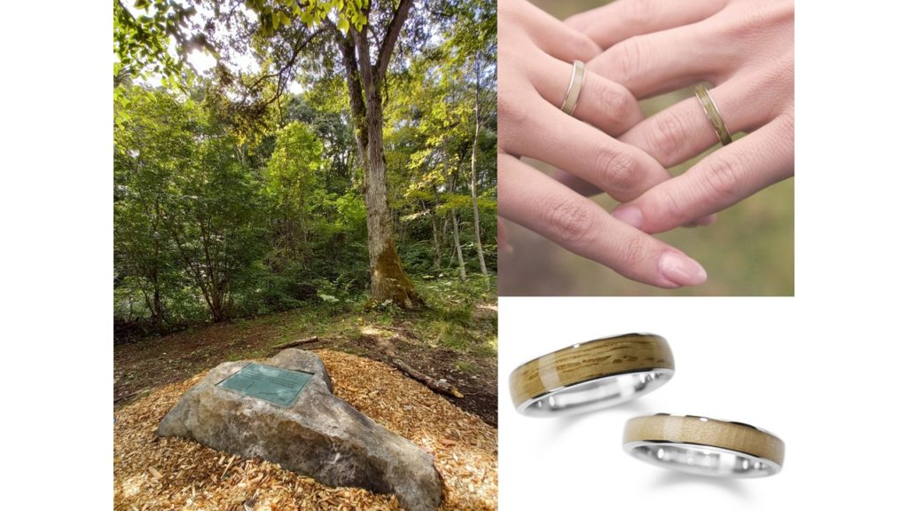 C.W.ニコルさんの命日の2024年4月3日アファンの森の木の指輪を発売